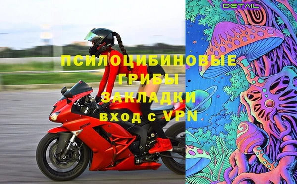 стаф Алексин