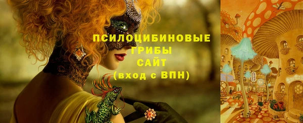 стаф Алексин