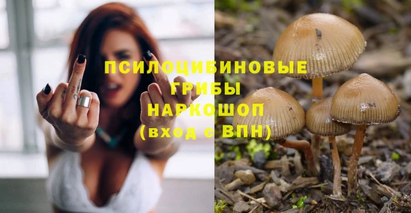 стаф Алексин