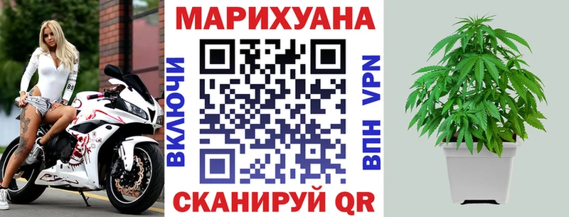 купить закладку  Заволжск  Канабис AK-47 